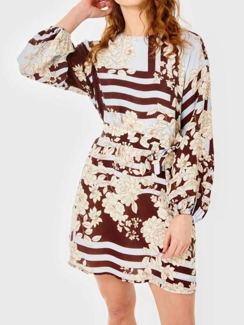 Floral Stripe Long-Sleeve Mini Dress in Brown and Cream
